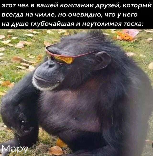 Медиа